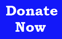 donate now button