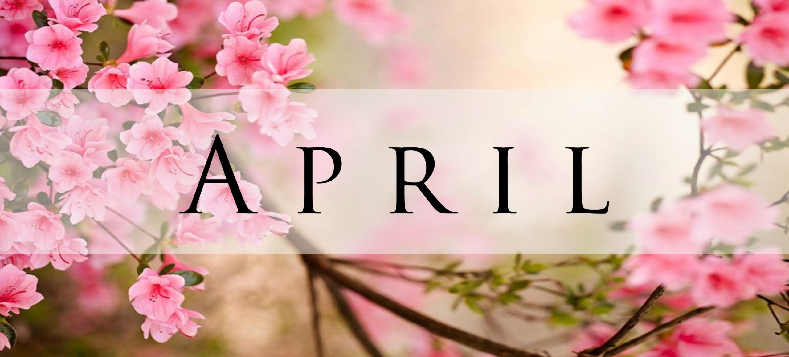 The word April with spring blooms around it
